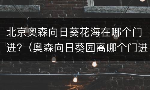 北京奥森向日葵花海在哪个门进?（奥森向日葵园离哪个门进）