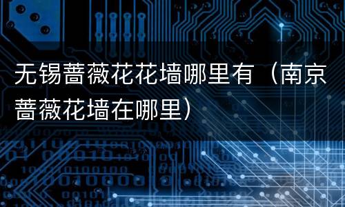 无锡蔷薇花花墙哪里有（南京蔷薇花墙在哪里）