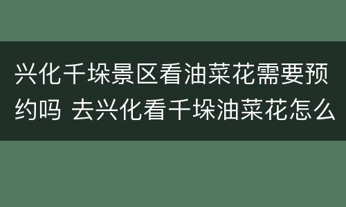 兴化千垛景区看油菜花需要预约吗 去兴化看千垛油菜花怎么走