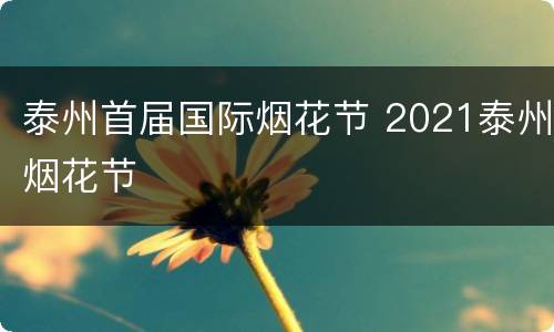 泰州首届国际烟花节 2021泰州烟花节