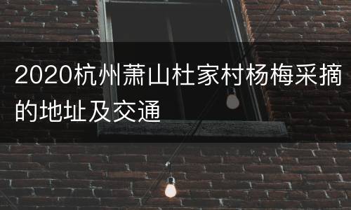 2020杭州萧山杜家村杨梅采摘的地址及交通