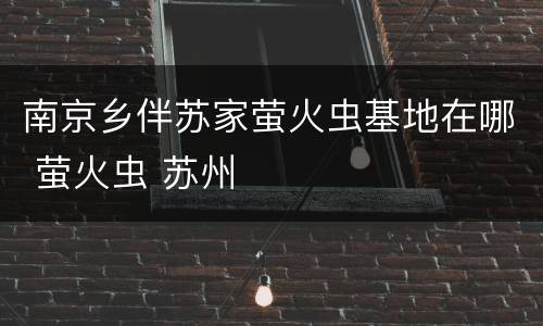 南京乡伴苏家萤火虫基地在哪 萤火虫 苏州