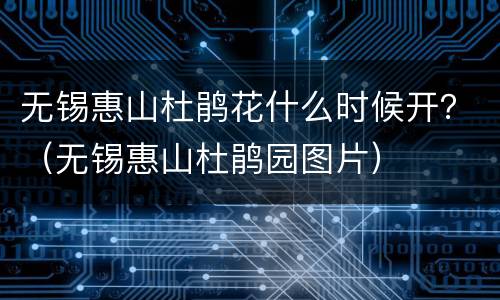 无锡惠山杜鹃花什么时候开？（无锡惠山杜鹃园图片）