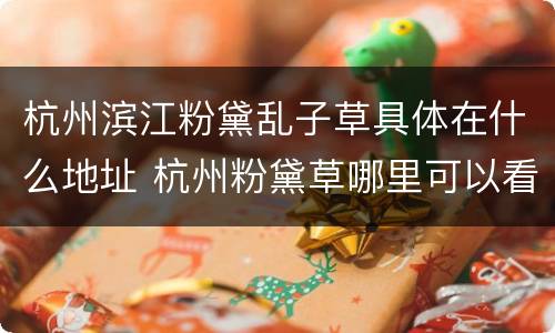 杭州滨江粉黛乱子草具体在什么地址 杭州粉黛草哪里可以看到