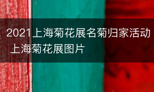 2021上海菊花展名菊归家活动 上海菊花展图片