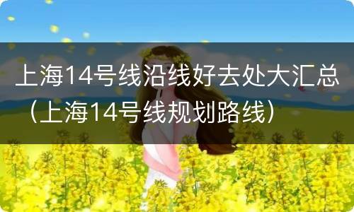 上海14号线沿线好去处大汇总（上海14号线规划路线）