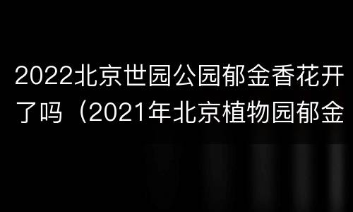 2022北京世园公园郁金香花开了吗（2021年北京植物园郁金香开了吗）