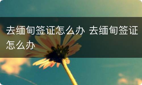去缅甸签证怎么办 去缅甸签证怎么办