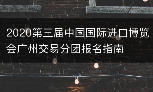 2020第三届中国国际进口博览会广州交易分团报名指南