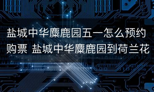 盐城中华麋鹿园五一怎么预约购票 盐城中华麋鹿园到荷兰花海
