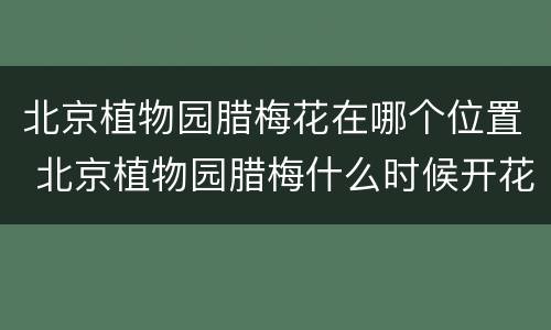 北京植物园腊梅花在哪个位置 北京植物园腊梅什么时候开花