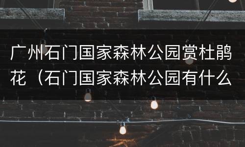 广州石门国家森林公园赏杜鹃花（石门国家森林公园有什么花）