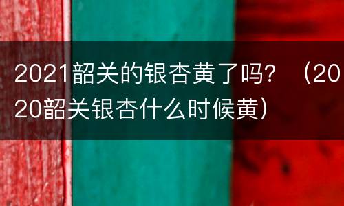 2021韶关的银杏黄了吗？（2020韶关银杏什么时候黄）