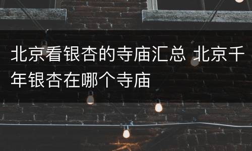 北京看银杏的寺庙汇总 北京千年银杏在哪个寺庙