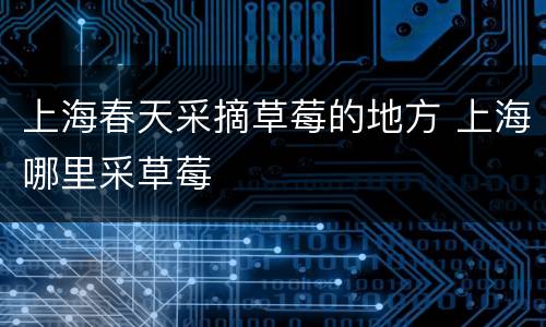 上海春天采摘草莓的地方 上海哪里采草莓