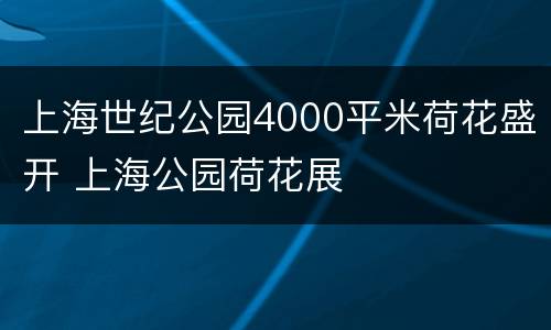 上海世纪公园4000平米荷花盛开 上海公园荷花展