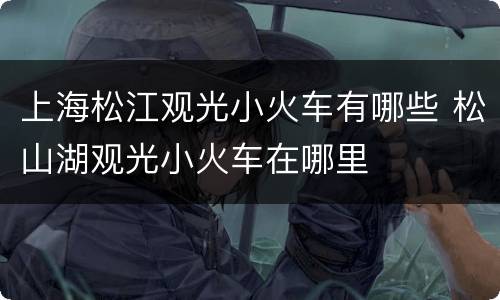上海松江观光小火车有哪些 松山湖观光小火车在哪里
