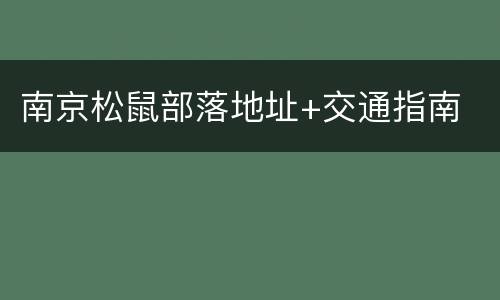 南京松鼠部落地址+交通指南