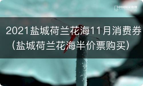 2021盐城荷兰花海11月消费券（盐城荷兰花海半价票购买）