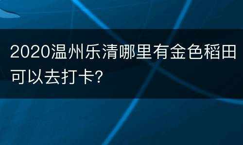 2020温州乐清哪里有金色稻田可以去打卡？