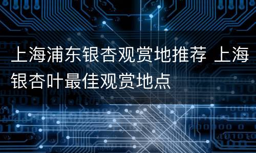 上海浦东银杏观赏地推荐 上海银杏叶最佳观赏地点