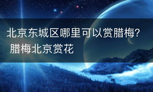 北京东城区哪里可以赏腊梅？ 腊梅北京赏花