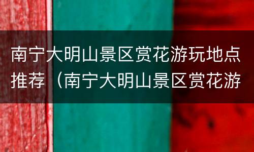 南宁大明山景区赏花游玩地点推荐（南宁大明山景区赏花游玩地点推荐图片）