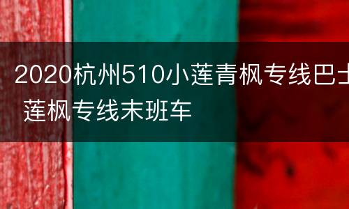 2020杭州510小莲青枫专线巴士 莲枫专线末班车
