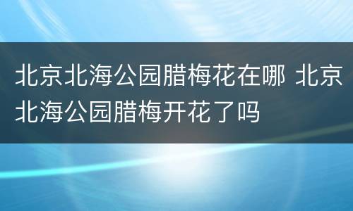 北京北海公园腊梅花在哪 北京北海公园腊梅开花了吗