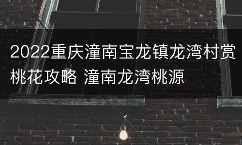 2022重庆潼南宝龙镇龙湾村赏桃花攻略 潼南龙湾桃源