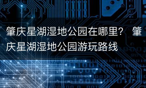 肇庆星湖湿地公园在哪里？ 肇庆星湖湿地公园游玩路线