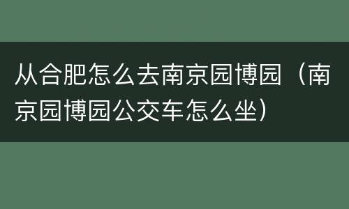从合肥怎么去南京园博园（南京园博园公交车怎么坐）