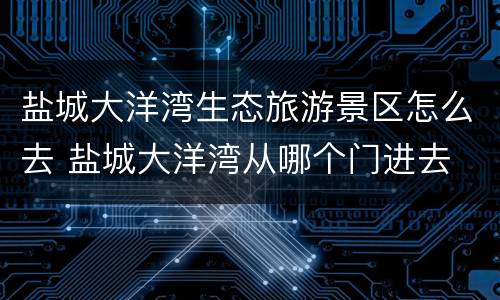盐城大洋湾生态旅游景区怎么去 盐城大洋湾从哪个门进去