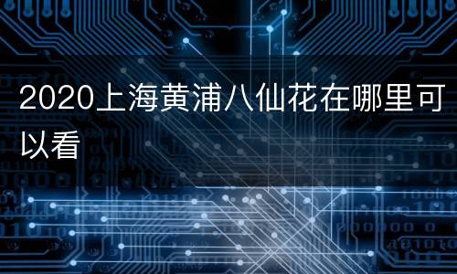 2020上海黄浦八仙花在哪里可以看