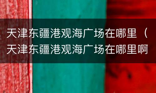 天津东疆港观海广场在哪里（天津东疆港观海广场在哪里啊）