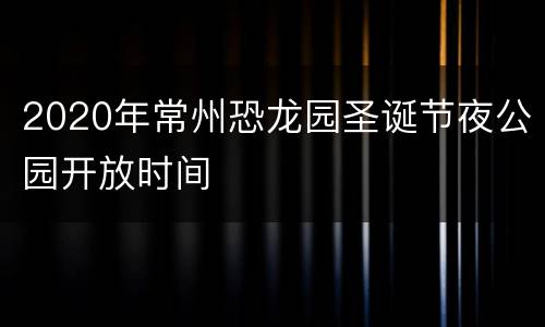 2020年常州恐龙园圣诞节夜公园开放时间