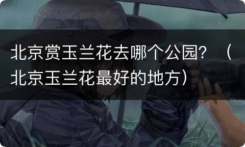 北京赏玉兰花去哪个公园？（北京玉兰花最好的地方）