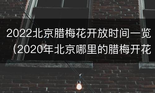 2022北京腊梅花开放时间一览（2020年北京哪里的腊梅开花了）