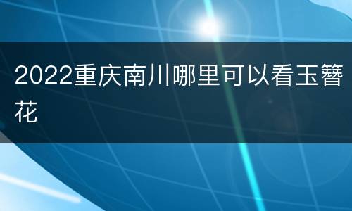 2022重庆南川哪里可以看玉簪花