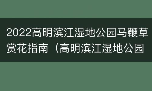 2022高明滨江湿地公园马鞭草赏花指南（高明滨江湿地公园在哪里）