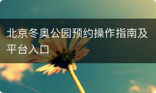 北京冬奥公园预约操作指南及平台入口