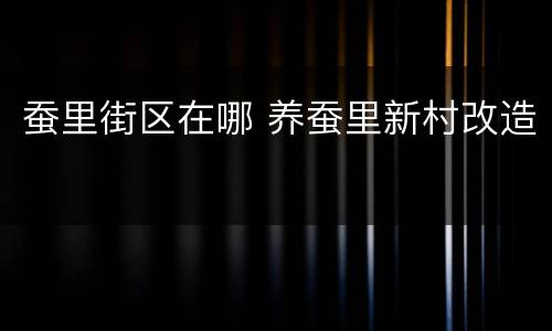 蚕里街区在哪 养蚕里新村改造