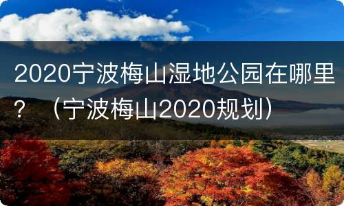 2020宁波梅山湿地公园在哪里？（宁波梅山2020规划）