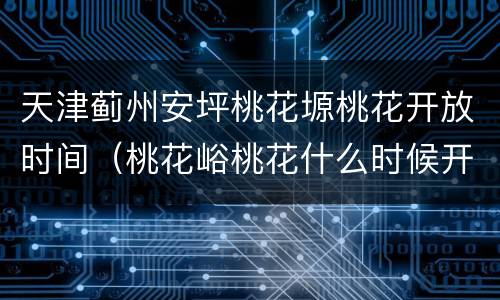 天津蓟州安坪桃花塬桃花开放时间（桃花峪桃花什么时候开）