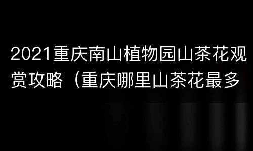 2021重庆南山植物园山茶花观赏攻略（重庆哪里山茶花最多）