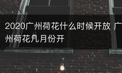 2020广州荷花什么时候开放 广州荷花几月份开