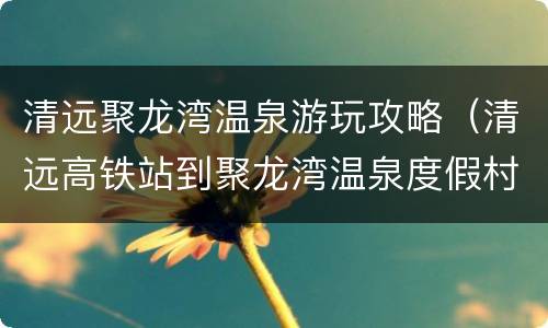 清远聚龙湾温泉游玩攻略（清远高铁站到聚龙湾温泉度假村有多远）