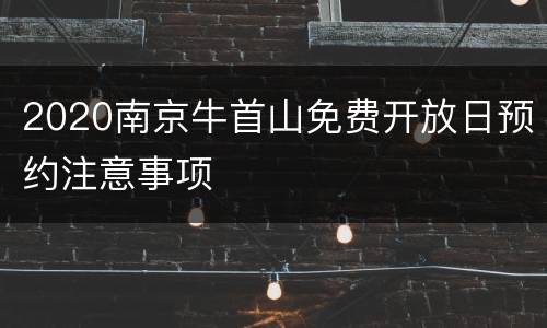 2020南京牛首山免费开放日预约注意事项