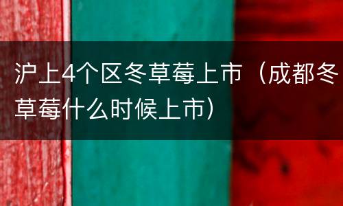 沪上4个区冬草莓上市（成都冬草莓什么时候上市）