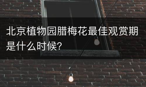 北京植物园腊梅花最佳观赏期是什么时候？